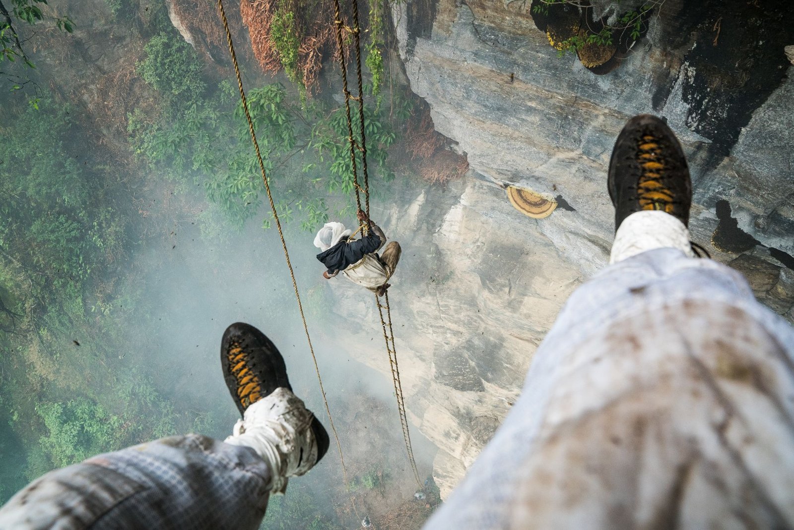 Gurung honey hunter harvesting mad honey from a Nepal cliff